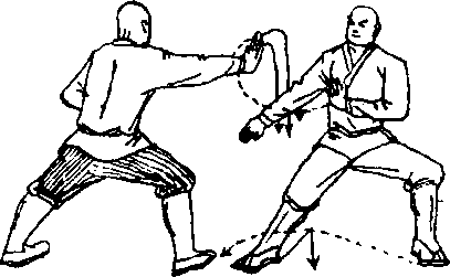 六,乙跃步脱逃甲进步推掌|少林八极拳|武术世家