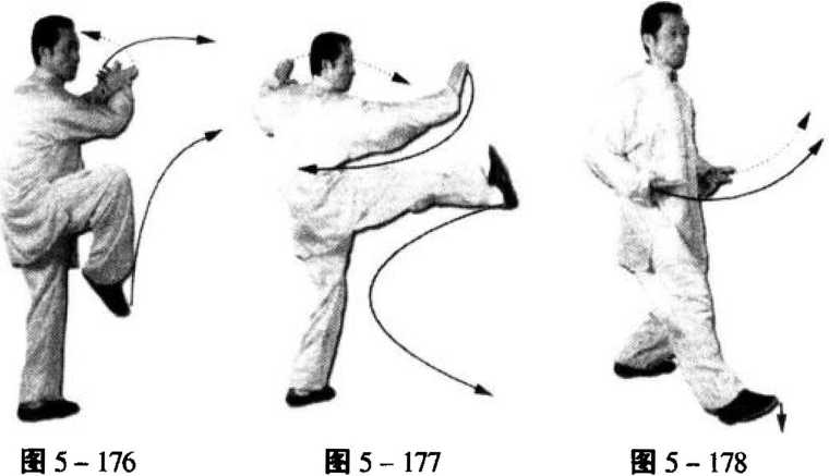 品質検査済 陳式太極拳肘法 : 肘の攻撃防守実戦用法 中国の体育と健康 