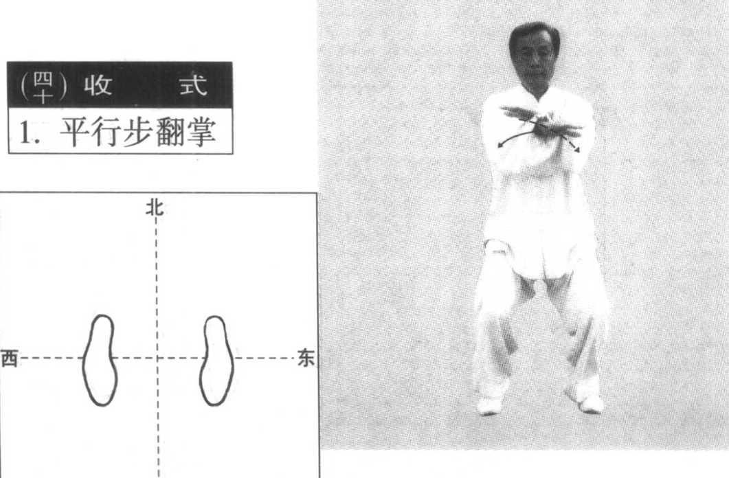 十八、收步十字手|杨式太极拳竞赛套路分解教学四十式|武术世家-众多习武书籍PDF电子书免费下载在线观看