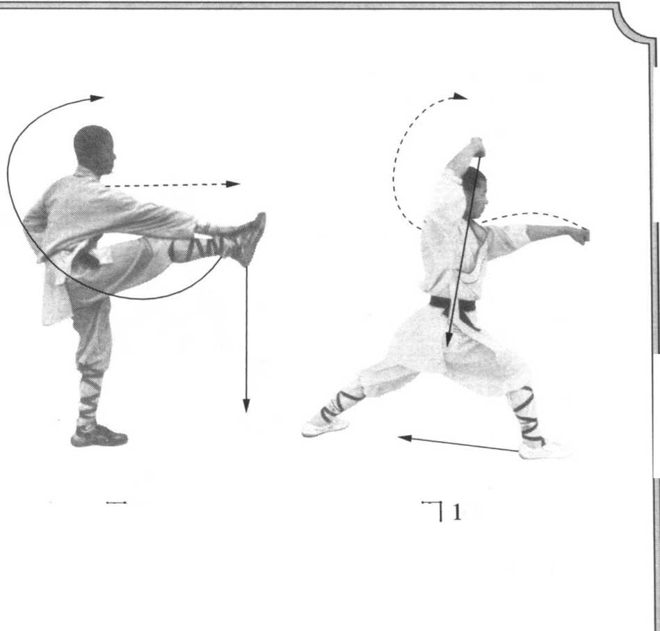 三、金沙飞掌|少林拳|武术世家