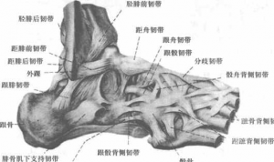 图片16