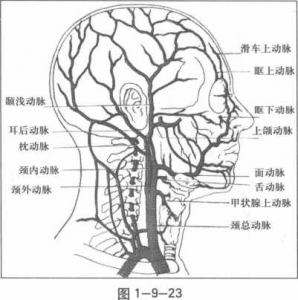 图片21