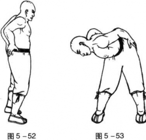 图片52.53