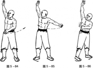 图片84-86