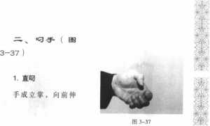 图片20