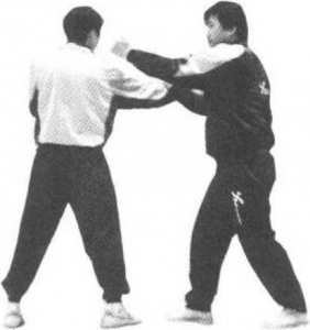 学习咏春拳的基本要求_咏春拳|武术世家