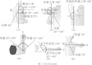 图片6