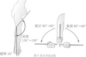 图片8