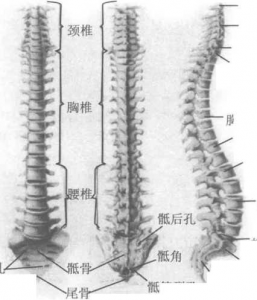 图片33