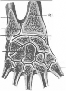 图片10