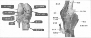 图片15