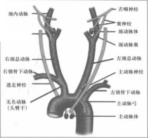 图片22