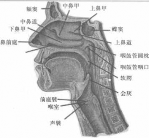 图片24