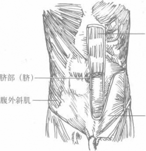 图片82