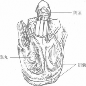 图片93