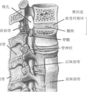 图片32