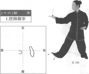 图片156