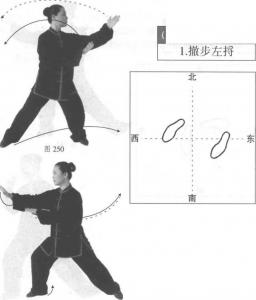 图片208