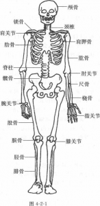 图片29