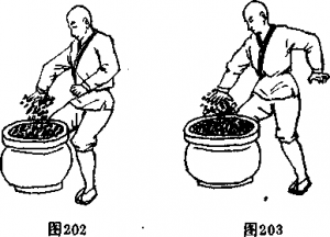 少林武术大全鹰爪功