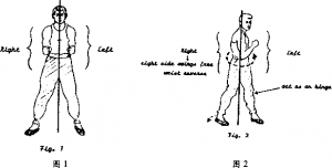 图片11